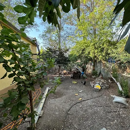 Apartament Private House Surrounded By Greenery Fier